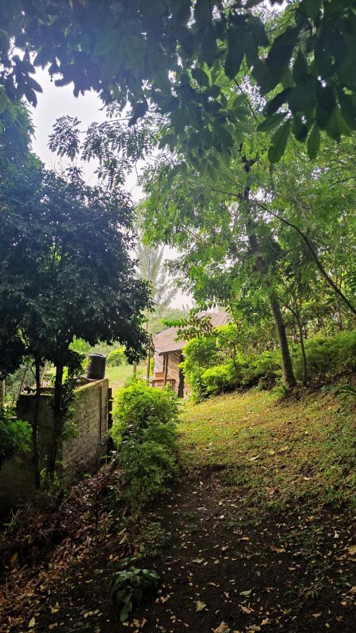 Lake Lyantonde Eco Campsite Original Fort Portal 外观 照片